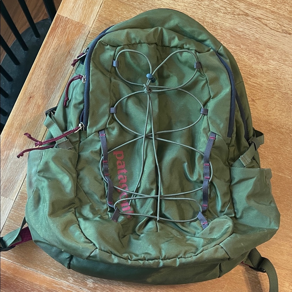 Patagonia Olive Green and fuchsia Backpack
